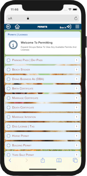 Town Hall Features